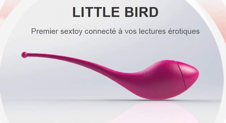 b-sensory_Little-Bird